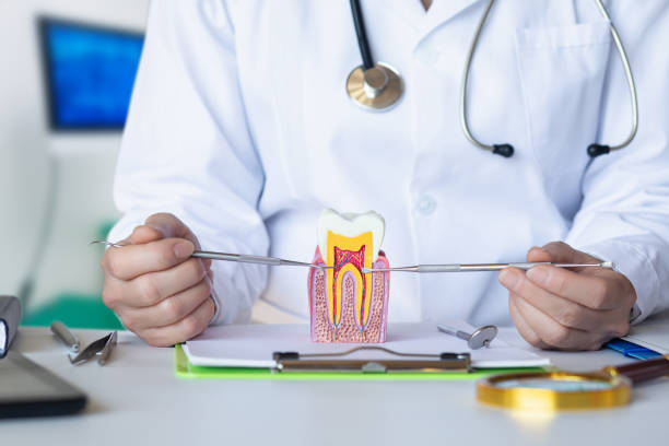 Best Pediatric Emergency Dentist in Reno, OH